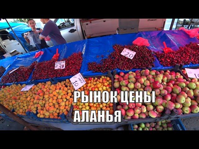 АЛАНЬЯ РЫНОК В ОБА 25 ИЮЛЯ ЦЕНЫ НА ФРУКТЫ ТУРЦИЯ СЕЗОН 2022