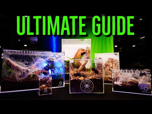 Ultimate Guide to Tarantula Enclosure Setups!