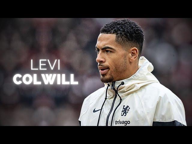 Levi Colwill - Season Highlights | 2024