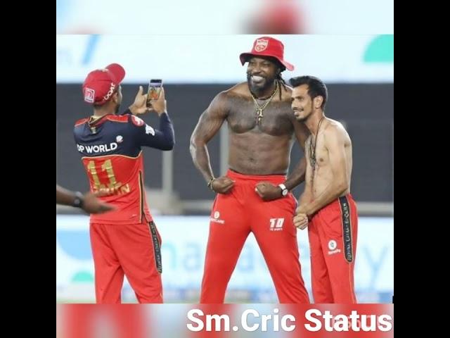 Crish Gayle and yuzvendra Chahal Friendship ||#shorts #cricket #ipl ||Sm.Cric Status