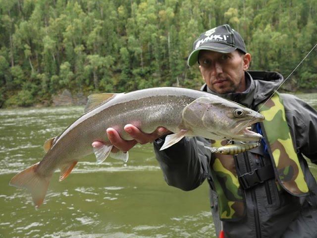 Russia Siberia Fishing - Rusko rybolov na Sibíri - Рыбалка в Сибири