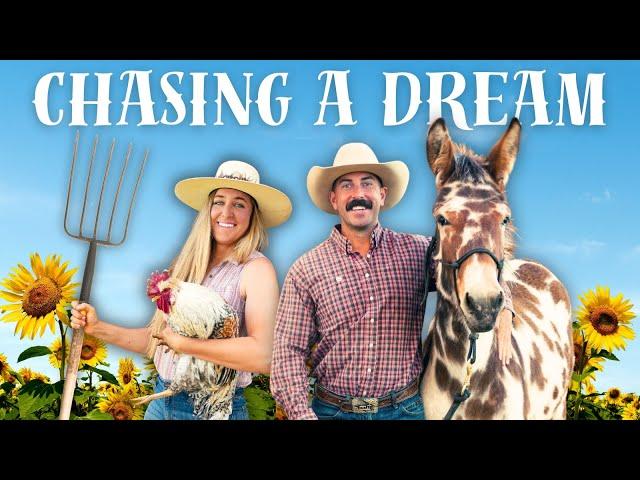 The Homestead Dream: Starting a Small Acreage with Horses