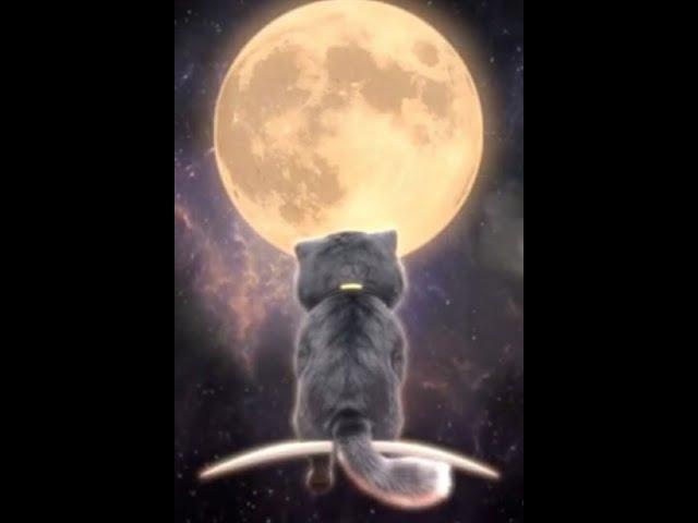 Nightcore - Alone song   [Alan walker] sad billi  English song #alanwalker #alone