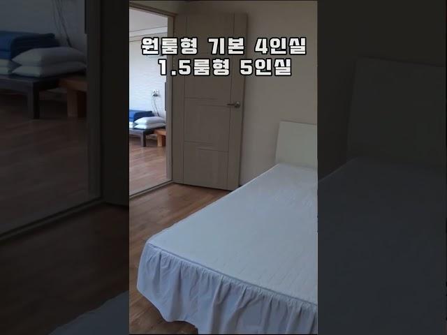 우도 펜션 전객실 바다뷰 산호해변근처 가성비 좋은 숙소