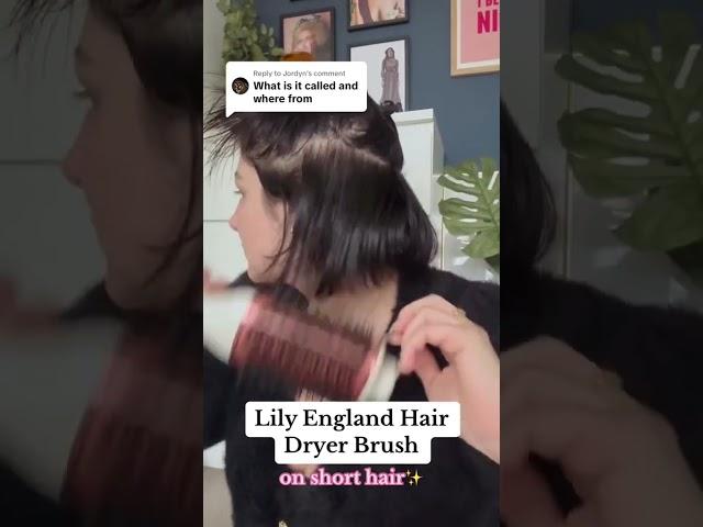 Hair Dryer Brush on Short Hair?!  #shortvideo #hairdryer #blowoutbrush #blowoututorial #shorthair