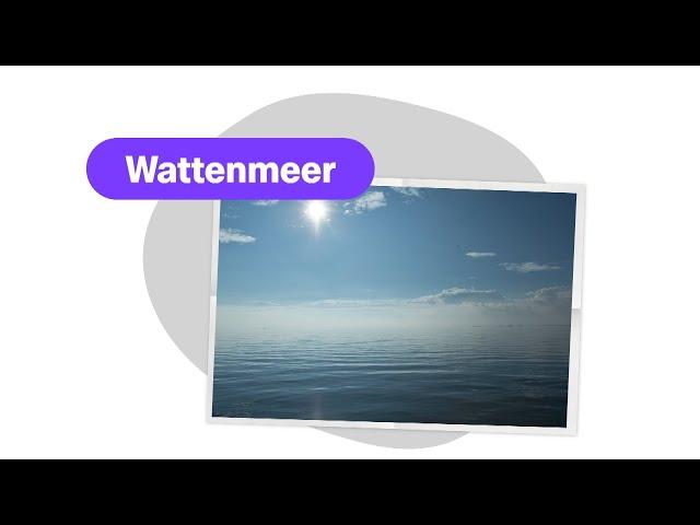 Das besondere Wattenmeer - logo! erklärt - ZDFtivi