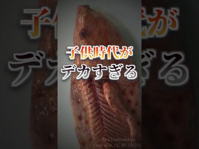 【雑学】つまらない大人、子供時代にイキる