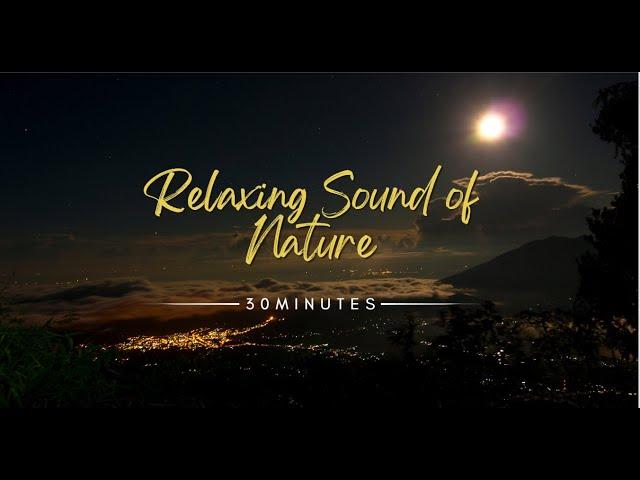 Relaxing Sound of Nature - 30 Minutes Long - Peaceful Night - Nature Therapy