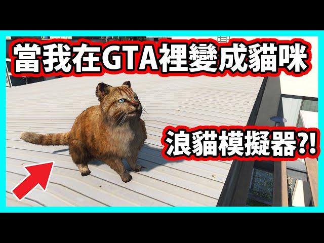 【阿航】當我在GTA5裡變成貓咪? 這才是浪貓模擬器!! (GTA5 MOD)