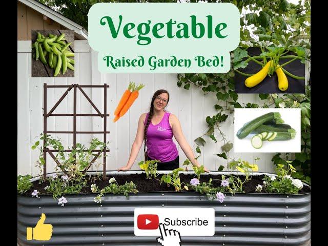 Vegetable Raised Garden Bed!!