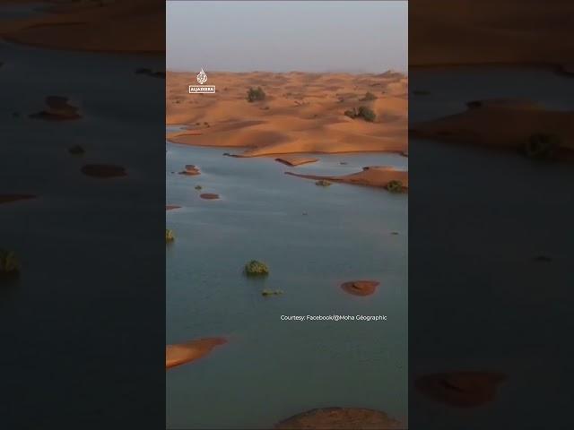 Ponds form in Moroccan desert after heavy rain | AJ #shorts