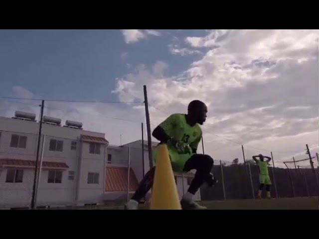 Eric Edwards Highlights