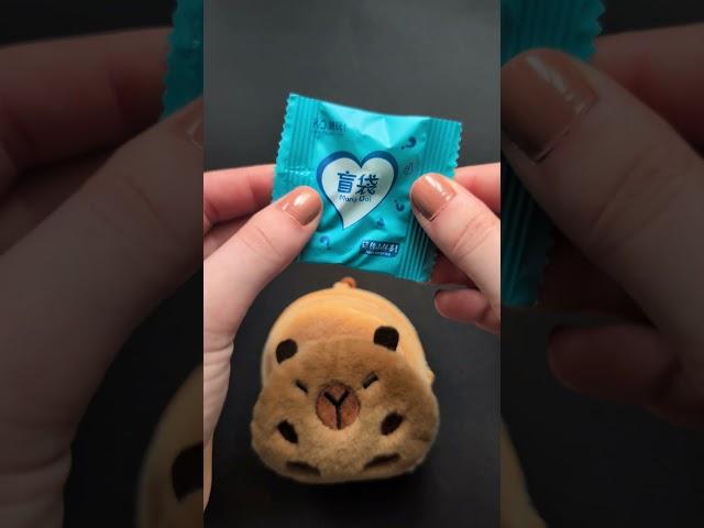 Mr. Capybara reveals #blindbag
