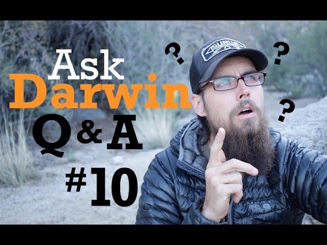 Ask Darwin Q&A #10 (Answers!)