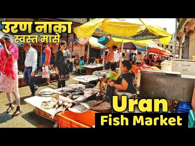 uran fish market | उरण मासळी बाजार | panvel uran fish market #fishmarket ‎@urankaranjekar3037