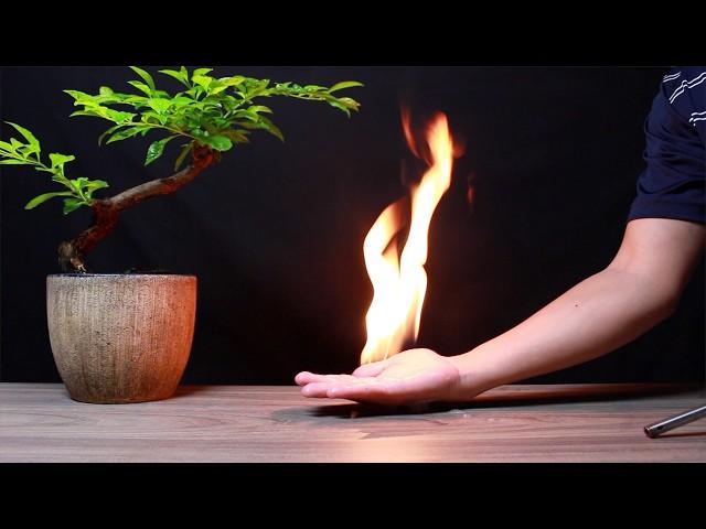 PLAY WITH FIRE | 10 SCIENCE EXPERIMENTS