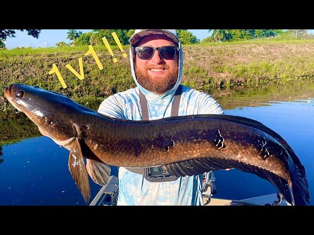 Bullseye Snakehead 1v1 Tournament with FloBass!! (South Florida)