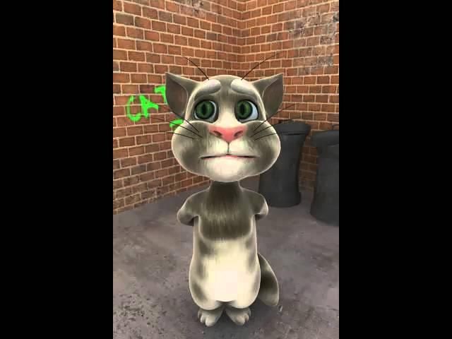 rock on freaky bro-talking tom