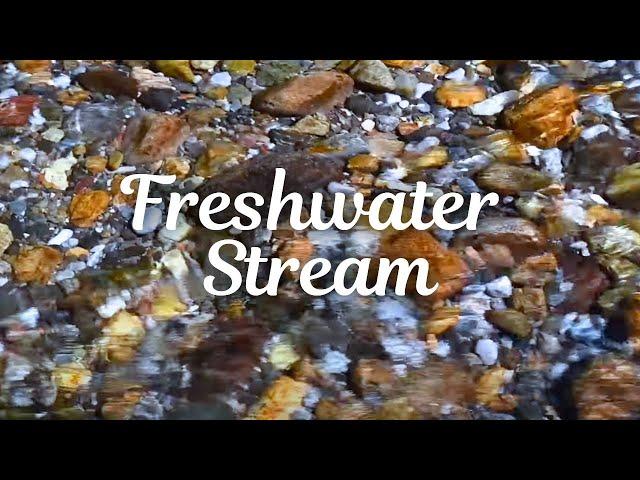 10 HRS of Cool Fresh Stream Water to Wash Your stress Away