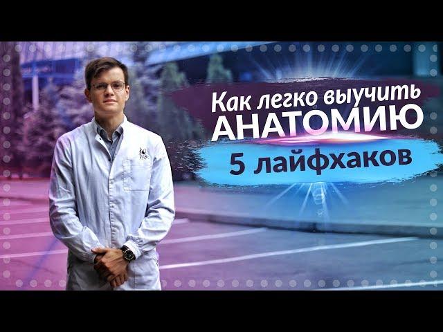 КАК СДАТЬ АНАТОМИЮ НА 100%