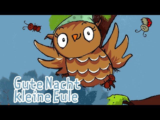 Gute Nacht kleine Eule | Kinderlieder - die kleine Eule & ihre Freunde