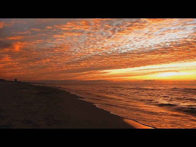 No Copyright Background Video Nature Sunset Beach (No Sound, No Music)   Free Stock Footage