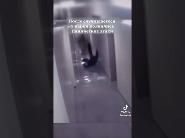 28 апреля 2023 г.