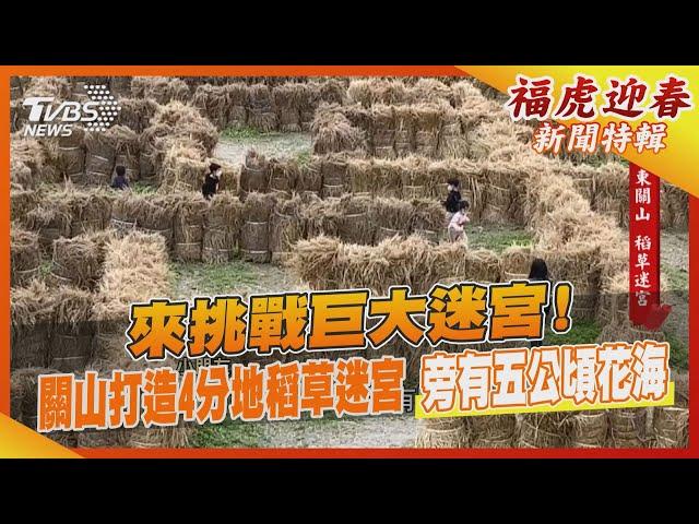 來挑戰巨大迷宮! 關山打造4分地稻草迷宮 旁有五公頃花海｜TVBS新聞