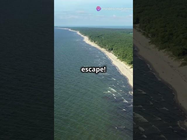 Amazing Travel to Lithuania.