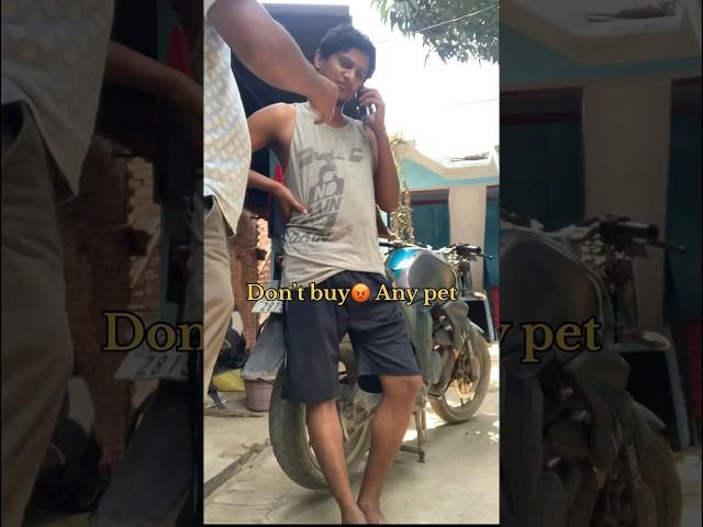 Patna k pet scammers  | #vvlog #minivlog #dog #shorts #patna