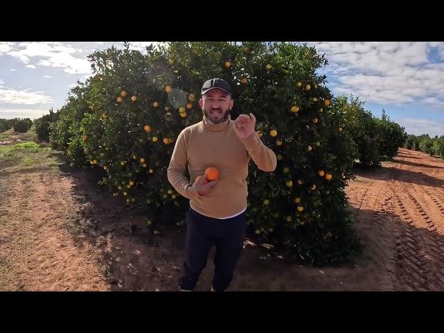 Orange Tour گزارش از فارم پرتغال