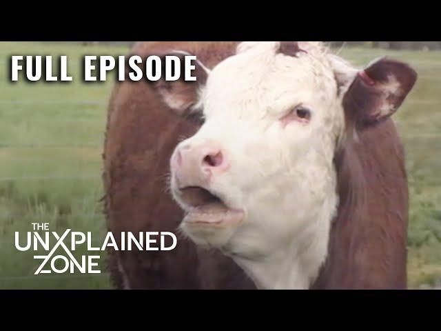 Mysterious Cattle Mutilations Plague Generations (S1, E1) | UFO Files | Full Episode