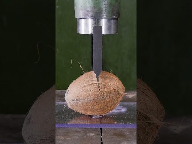 Hydraulic Guillotine vs. Bowling Ball: Epic Showdown!  #hydraulicpress #guillotine #satisfying