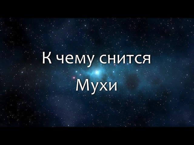 К чему снится Мухи (Сонник, Толкование снов)