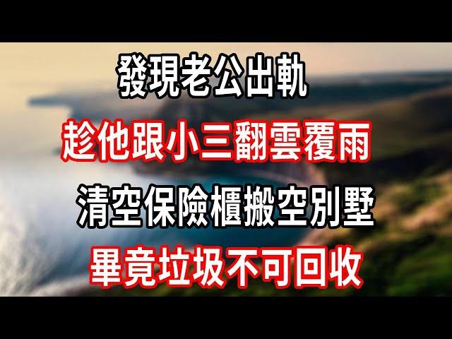 發現老公出軌，趁他跟小三翻雲覆雨，清空保險櫃搬空別墅，畢竟垃圾不可回收