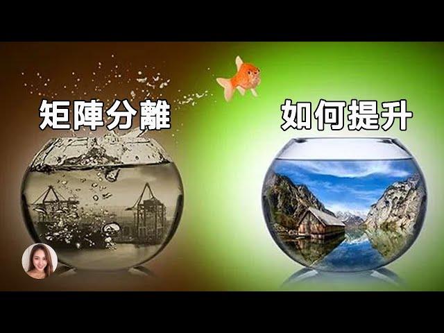 地球淨化，矩陣分離，我們該如何面對全球清理？| 二元對立 | 矩陣分離 | 如何提升自我 | 聽見高頻聲表示什麼。？