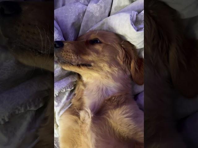 Took a nap