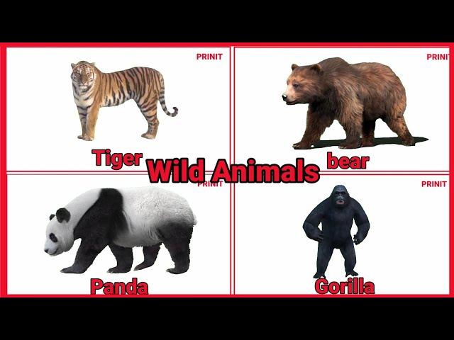 WILD ANIMALS | Learn Wild Animals Sounds and Names For Children / prinit