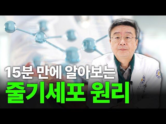 [연세사랑병원] 줄기세포 원리, 이 영상 하나로 정리합니다!