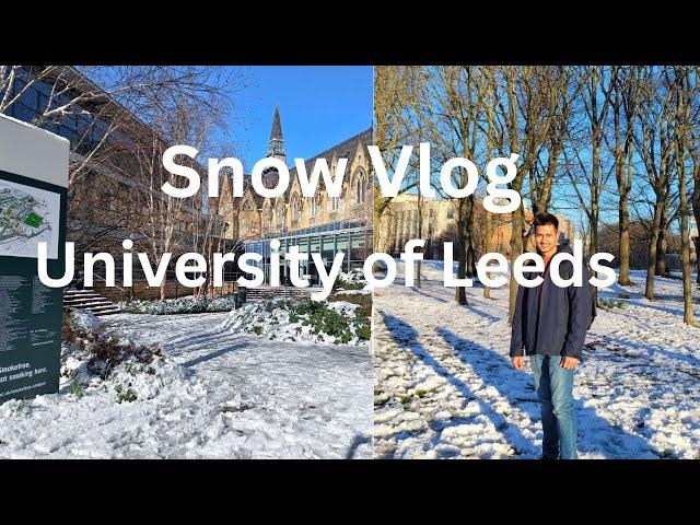 1st Snow ️ in Leeds I Leeds University Business School UK snow Vlog I Hyde Park I #Snow #leeds #UK