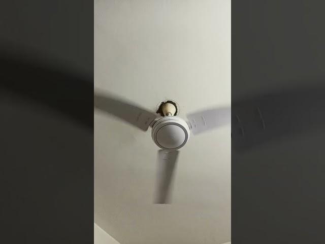 Noisy National Fan (Use My Sound-Shafqat, Sami, Monmon, Afif, Aayan, Fokit, Muaz, Ohee, Radin etc)