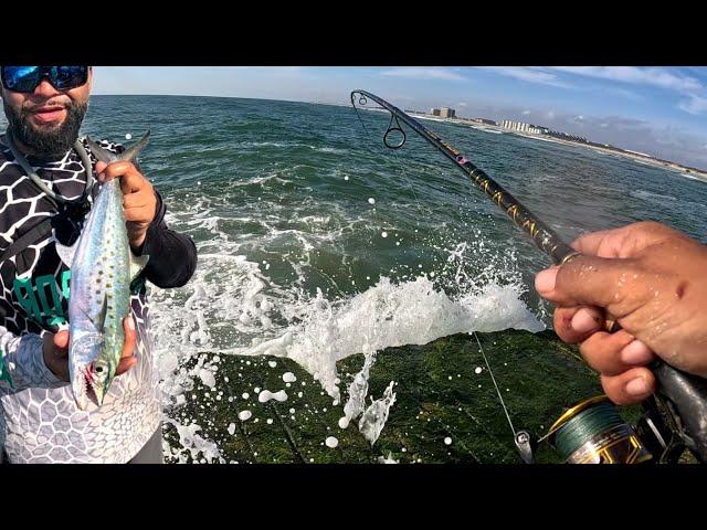 Spanish Mackerel Jetty Fishing (Catch & Cook) Corpus Christi TX