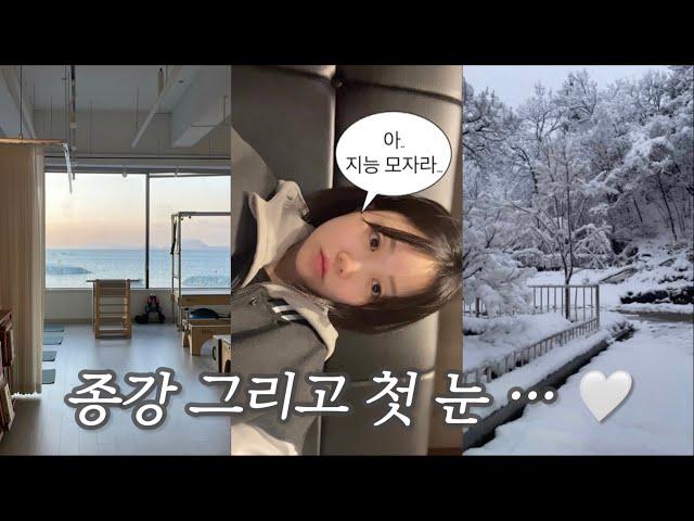 [Vlog] 물리치료학과 기말고사 | 종강브이로그 | 첫눈 | 시험기간 영양제 추천 ..