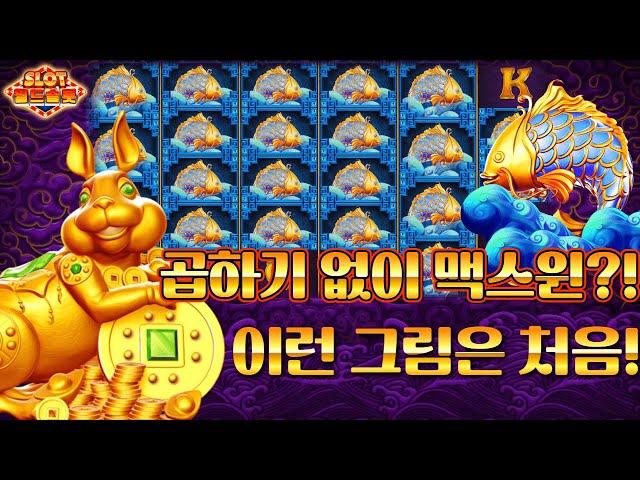 [슬롯][월드슬롯] 5 레빗 메가웨이 (시청자 제보) 5 Rabbits Megaways™ MAX WIN [프라그마틱][슬롯리뷰][HD]