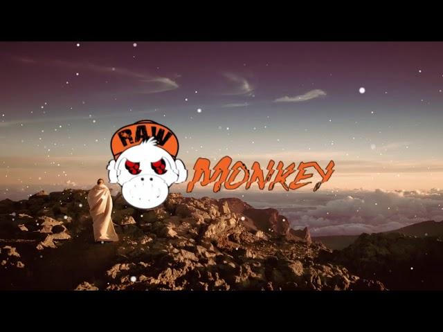 T Ξ X Λ S - ACID (PSY TRANCE HARD) [MONKEY TEMPO]