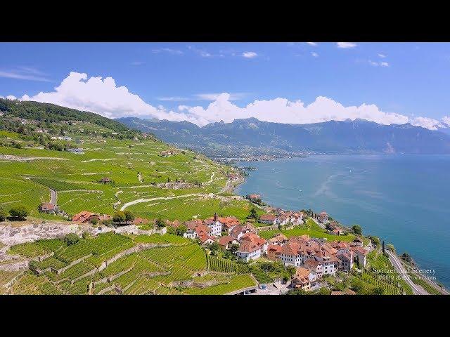 4K Lavaux, Lac Léman Vaud SWITZERLAND アルプス山脈