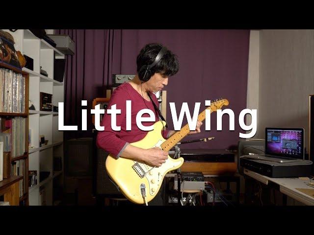 신윤철 (YoonChul Shin) - Little Wing (원곡 : Jimi Hendrix Experience) / Blues Guitar / Electric Guitar