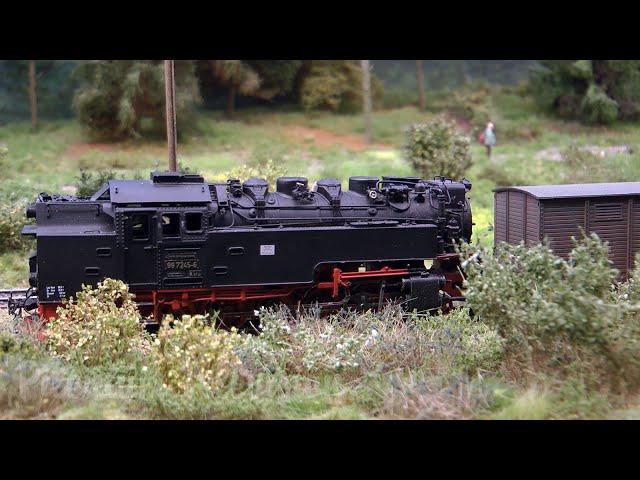 One of the Finest Narrow Gauge Model Railroad Layouts of East German Steam Locomotives in HO Scale