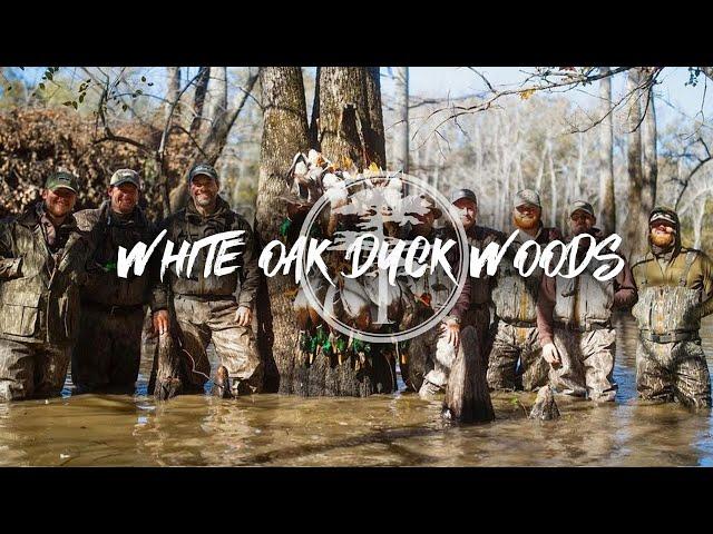 Duck Hunting - White Oaks Duck Woods( A Mallard Duck Paradise)