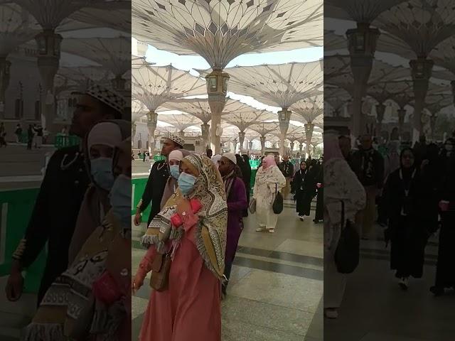 masjid e nabawi  arif raza official islamic status